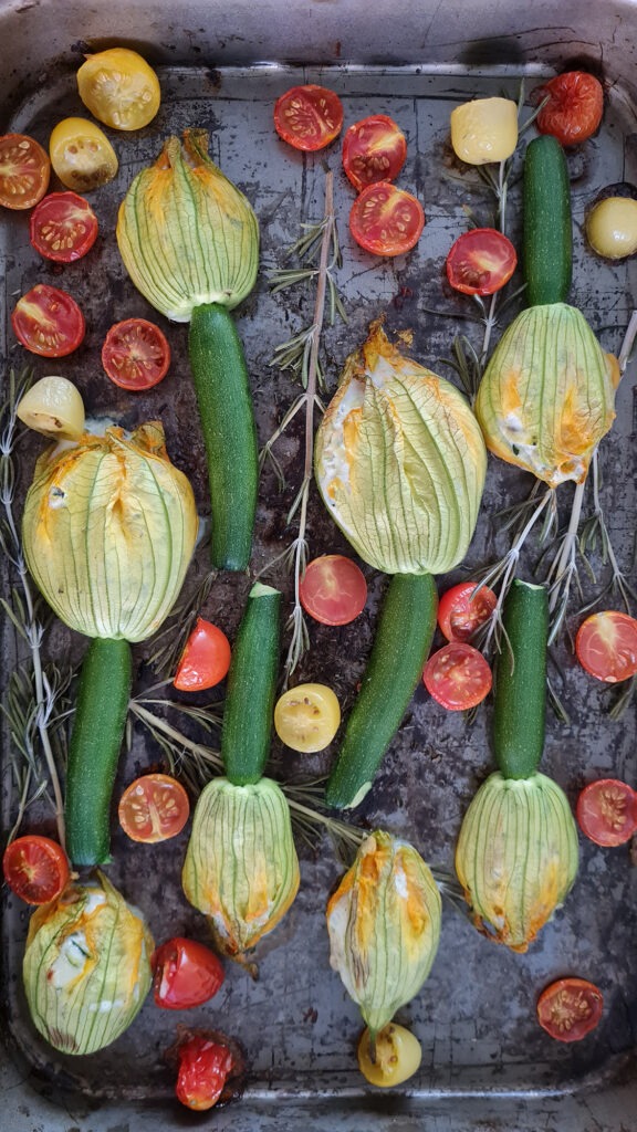 bunte Küche: gefüllte Zucchiniblüten